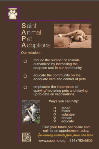 flier for animal shelter
