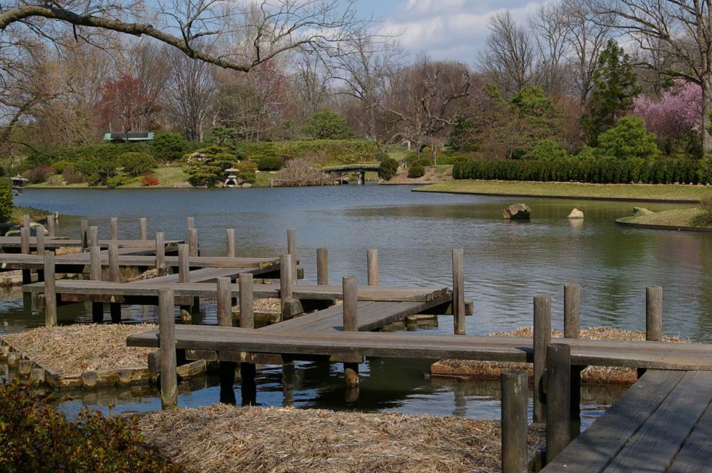 view across walkway at water's edge MO botanical gardens spring