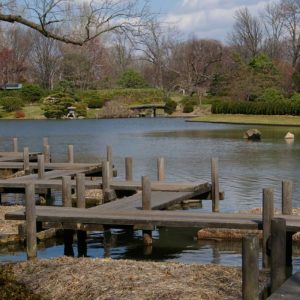 view across walkway at water's edge MO botanical gardens spring